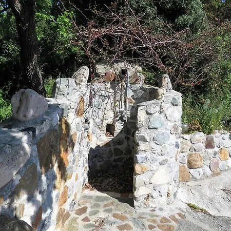 Le Rose Del Tirreno Bed & Breakfast 3*