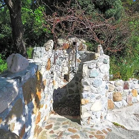 Bed and breakfast Le Rose Del Tirreno 3*
